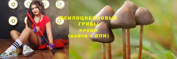 мяу мяу кристалл Кинешма